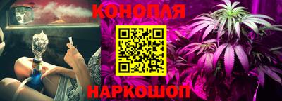 мяу мяу мука Нарткала