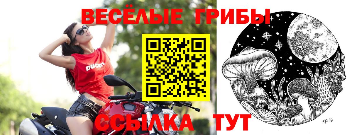 Псилоцибиновые грибы ЛСД Тихорецк