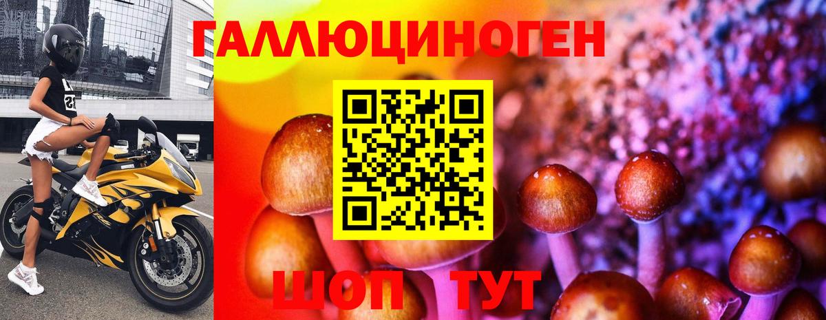 Псилоцибиновые грибы Magic Shrooms  Вход с VPN  Галлюциногенные грибы мухоморы  Тихорецк 